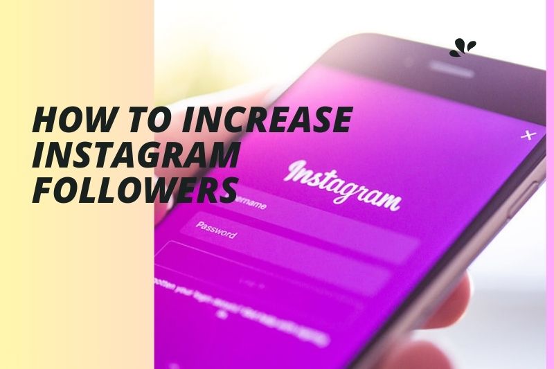 How to Increase Instagram Followers in 2024 [Verified Methods]